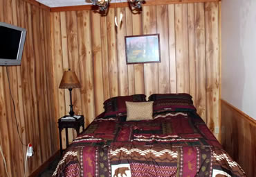 Bear Bedroom